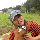 삼천리목장 이미지