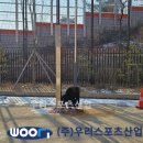 신남초등학교 이미지