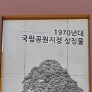 정이품 벼슬을산 소나무 이미지