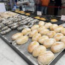 바다정원 속초카페거리 본점 이미지