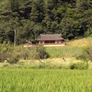 산천정사(山泉精舍) 네이버블로그