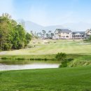 알프스대영CC 이미지