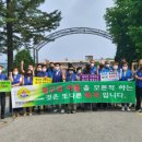 양동초등학교 이미지