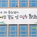 부산시청 이미지