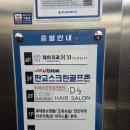 디바이헤어 | 판교 백현동 머리잘하는곳 미용실 추천 디바이헤어살롱 염색 정보 후기