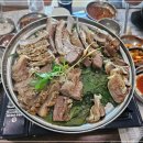 상황버섯 향촌 이미지