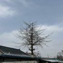 성정서점