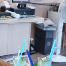 신안 임자도 대광해변과 지도 거북섬에서 ~~^^ 이미지