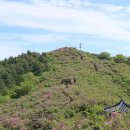 봉화산 Daum카페