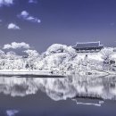 경남 진주시(晉州市) ‘촉석루(矗石樓)Ⅲ‘ 한시(漢詩)편. 11~13편 이미지