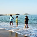 속초해수욕장 이미지