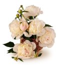 농업회사법인 인천축산(주) 이미지