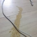 심재웅동물병원 이미지