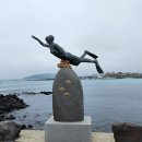 제주 올레길 19코스 이미지