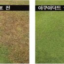 영안엔지니어링주 네이버블로그