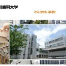 가나가와치과 네이버블로그