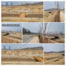 생활권6 이미지