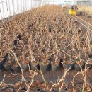 용성농협 이미지