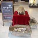 거북이 베이커리 | [일산 카페] 일산 베이커리 카페 단팥빵 맛집ㅣ거북이단팥ㅣ방문후기