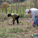 파평산농장 이미지