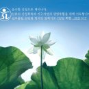 새싹선교