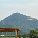 호화리안 이미지