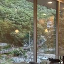 경남 양산 카페 | 아미드포레 내원사 계곡뷰