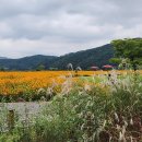 기흥호수공원 이미지