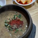 우진 | 제주 맛집 우진해장국 내돈내산 후기