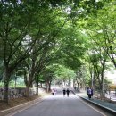 명암식당 이미지