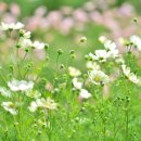 사려깊은한의원 이미지