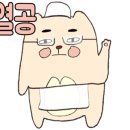 호쿤