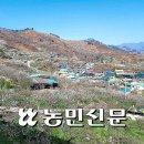 [귀농귀촌 부동산] 농지 빌려 귀농... 3년 이내 매입 땐 취득세 50% 감면 이미지