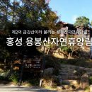 6월15일(토)홍성시티투어(남당항-죽도-용봉산자연휴양림)/마감 이미지