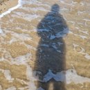 해피데이 | 경주펜션 해피데이 후기｜관성솔밭해수욕장에서 슈퍼어싱까지, 몸이 먼저 반응한 힐링 여행