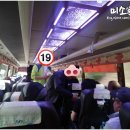 외포리일식 | 강화 석모도 당일치기 여행코스 해명산등산, 보문사, 광성보 후기