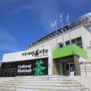 하동야생차박물관 이미지