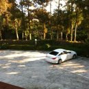 파인빌펜션 | 제주도 애견펜션 파인빌 펜션 후기