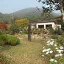 들풀민박