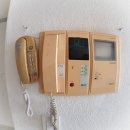 그린비디오 이미지