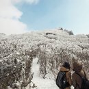 무등산 관리사무소앞 이미지