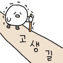 숲속도마치계곡캠핑장 이미지