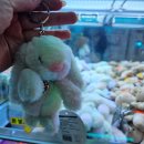 대빵오락실 평택점 이미지