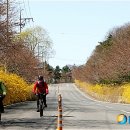 국도31호선(구) 이미지