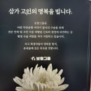 보람상조피플(주) 이미지
