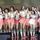 인사이트 이미지