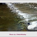 진부리유원지 이미지