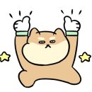 춘천닭집