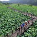 생태습지 이미지