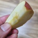 GS25 호서대점 네이버블로그
